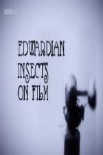 Watch Edwardian Insects on Film 0123movies