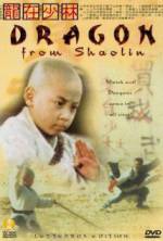 Watch Long zai Shaolin 0123movies