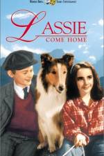 Watch Lassie Come Home 0123movies