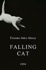 Watch Falling Cat 0123movies