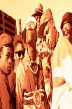 Watch Public Enemy: Prophets Of Rage 0123movies