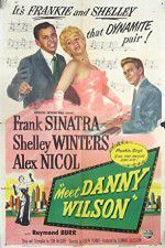 Watch Meet Danny Wilson 0123movies