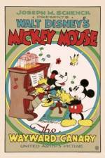 Watch The Wayward Canary 0123movies