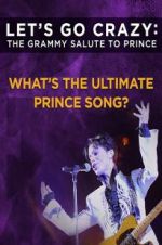 Watch Let\'s Go Crazy: The Grammy Salute to Prince 0123movies