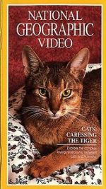 Watch Cats: Caressing the Tiger 0123movies