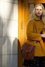 Watch The Company You Keep 0123movies