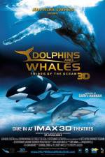 Watch Dolphins and Whales 3D Tribes of the Ocean 0123movies