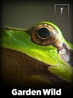 Watch Garden Wild! 0123movies