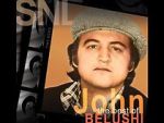 Watch Saturday Night Live: The Best of John Belushi 0123movies