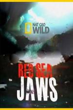 Watch National Geographic Red Sea Jaws 0123movies
