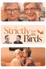 Watch Strictly for the Birds 0123movies
