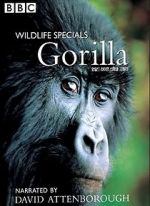Watch Gorilla Revisited with David Attenborough 0123movies