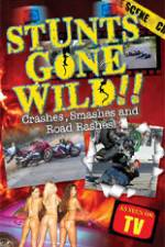Watch Stunts Gone Wild: Crashes, Smashes & Road Rashes! 0123movies