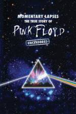 Watch Pink Floyd: Momentary Lapses - The True Story Of Pink Floyd 0123movies