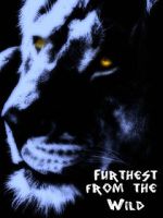 Watch Furthest from the Wild 0123movies