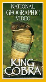 Watch King Cobra 0123movies