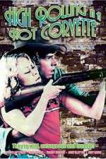 Watch High Rolling in a Hot Corvette 0123movies