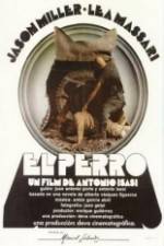 Watch El perro 0123movies