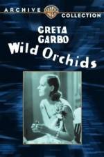 Watch Wild Orchids 0123movies