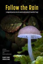 Watch Follow the Rain 0123movies