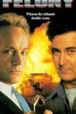 Watch Felony 0123movies