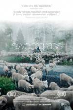 Watch Sweetgrass 0123movies