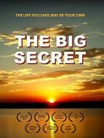 Watch The Big Secret 0123movies