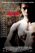 Watch Beautiful Boxer 0123movies