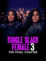 Watch Single Black Female 3: The Final Chapter 0123movies