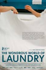 Watch The Laundromat 0123movies