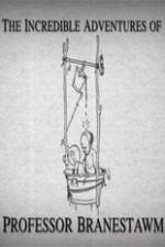 Watch The Incredible Adventures of Professor Branestawm 0123movies