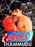 Watch Thammudu 0123movies