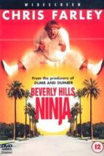 Watch Beverly Hills Ninja 0123movies