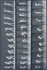 Watch Woman Throwing Baseball 0123movies