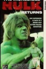 Watch The Incredible Hulk Returns 0123movies