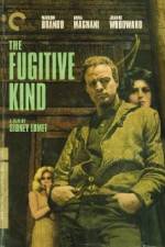 Watch The Fugitive Kind 0123movies