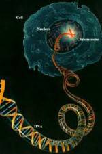 Watch Horizon: Miracle Cure? A Decade of the Human Genome 0123movies