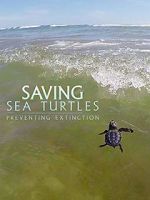 Watch Saving Sea Turtles: Preventing Extinction 0123movies