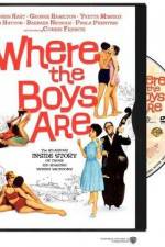 Watch Dazu gehren zwei 0123movies