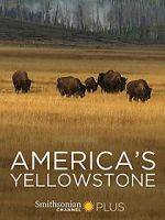 Watch America\'s Yellowstone 0123movies