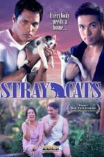 Watch Stray Cats 0123movies