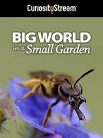 Watch Big World in a Small Garden (TV Short 2016) 0123movies
