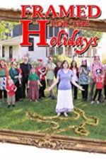Watch Framed for the Holidays 0123movies