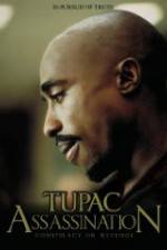 Watch Assassination: Conspiracy or Revenge 0123movies