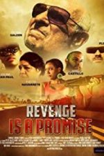 Watch Revenge Is a Promise 0123movies