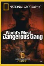 Watch National Geographic World's Most Dangerous Gang 0123movies