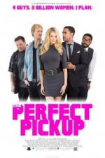 Watch The Perfect Pickup 0123movies