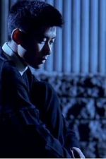 Watch The Place on the Tricorne 0123movies