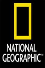 Watch National Geographic Wild Night Of The Lion 0123movies