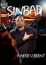 Watch Sinbad: Where U Been? 0123movies